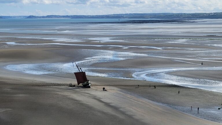 Informations bénévoles TLB